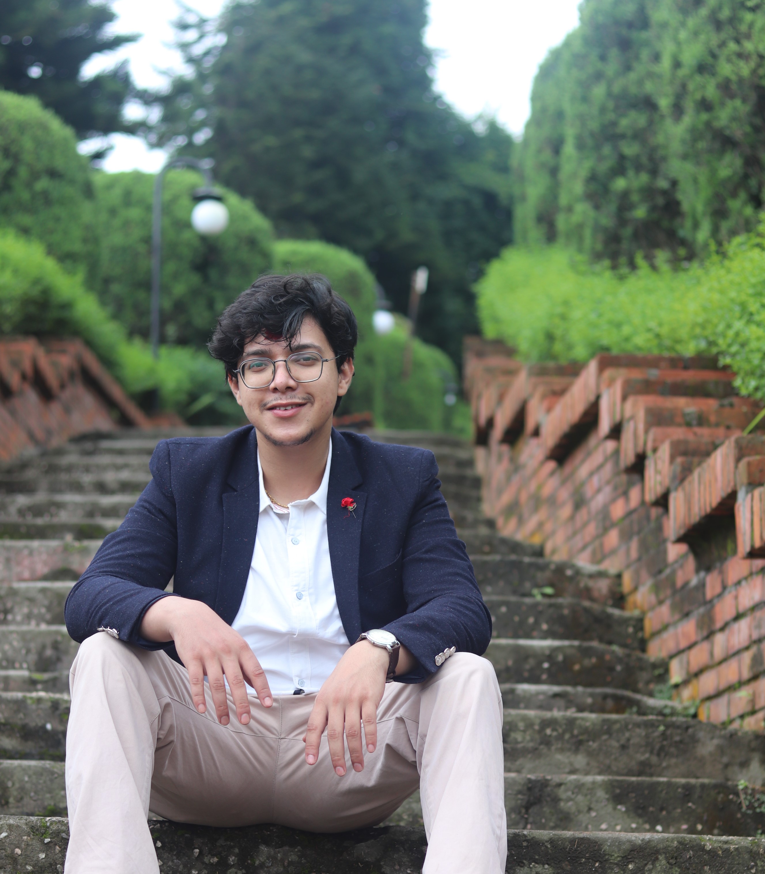 Developer
